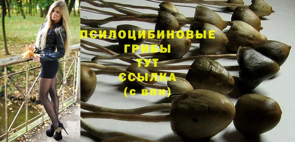 герыч Новодвинск