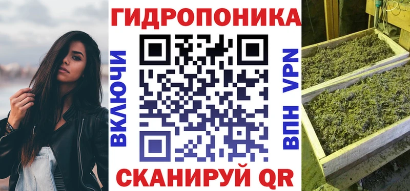Конопля индика  Починок 